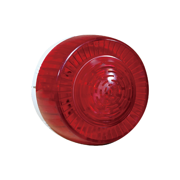 ���ֹ⾯����