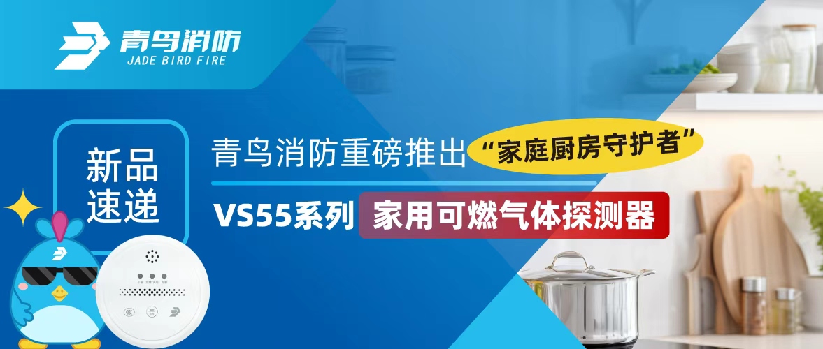 ��Ʒ�ٵ� | ������ʱ�ذ��Ƴ�����ͥ�����ػ��ߡ�����VS55ϵ�м��ÿ�ȼ����̽����