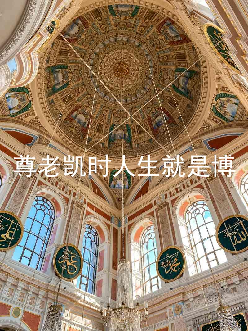 尊老凯时人生就是博