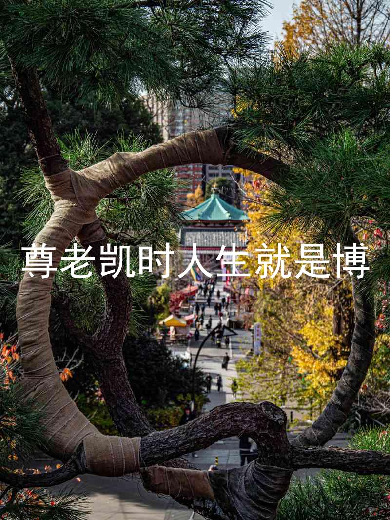 尊老凯时人生就是博