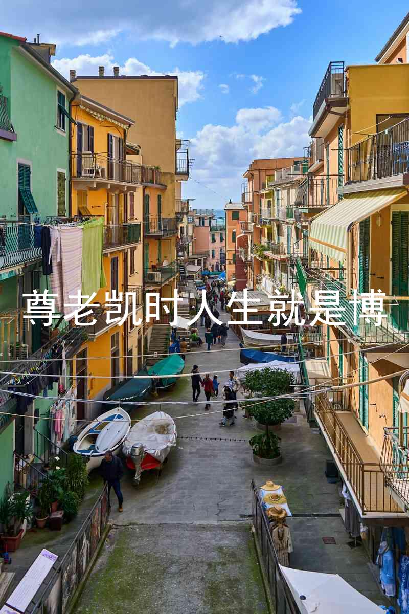 尊老凯时人生就是博